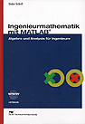 Ingenierumathematik mit MATLAB: Algebra und Analysis für Ingenieure