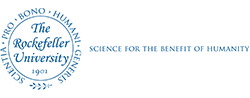 rockefeller-university-31565087