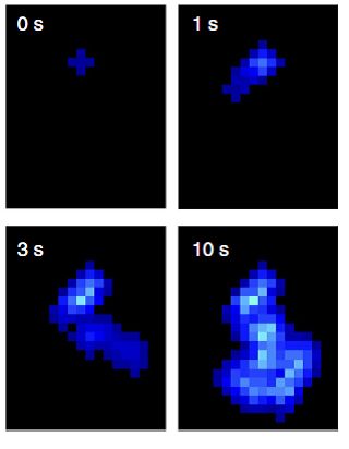 KAUST_fig2_w.jpg KAUST_fig2_w.jpg