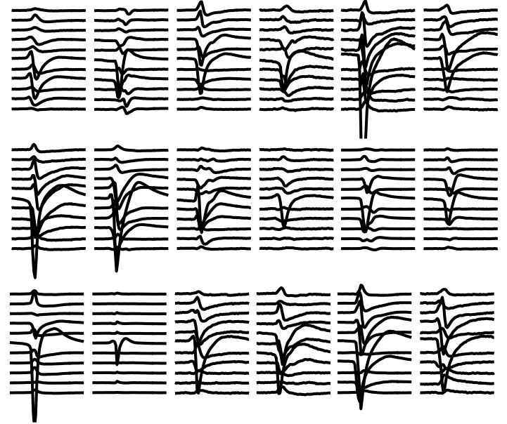 Figure 4. Plots of 18 individual spike shapes as captured by 11 different channels.