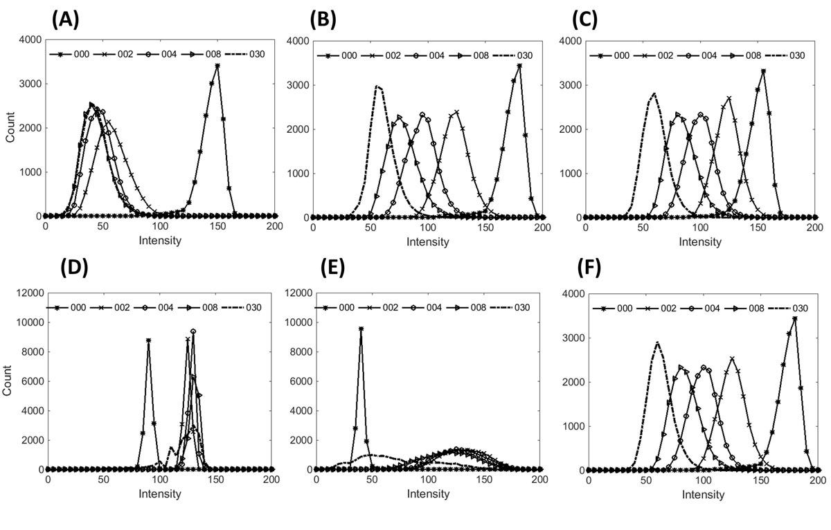 Figure 3. Histograms for red (A), green (B), blue (C), hue (D), saturation (E), and value (F) channels