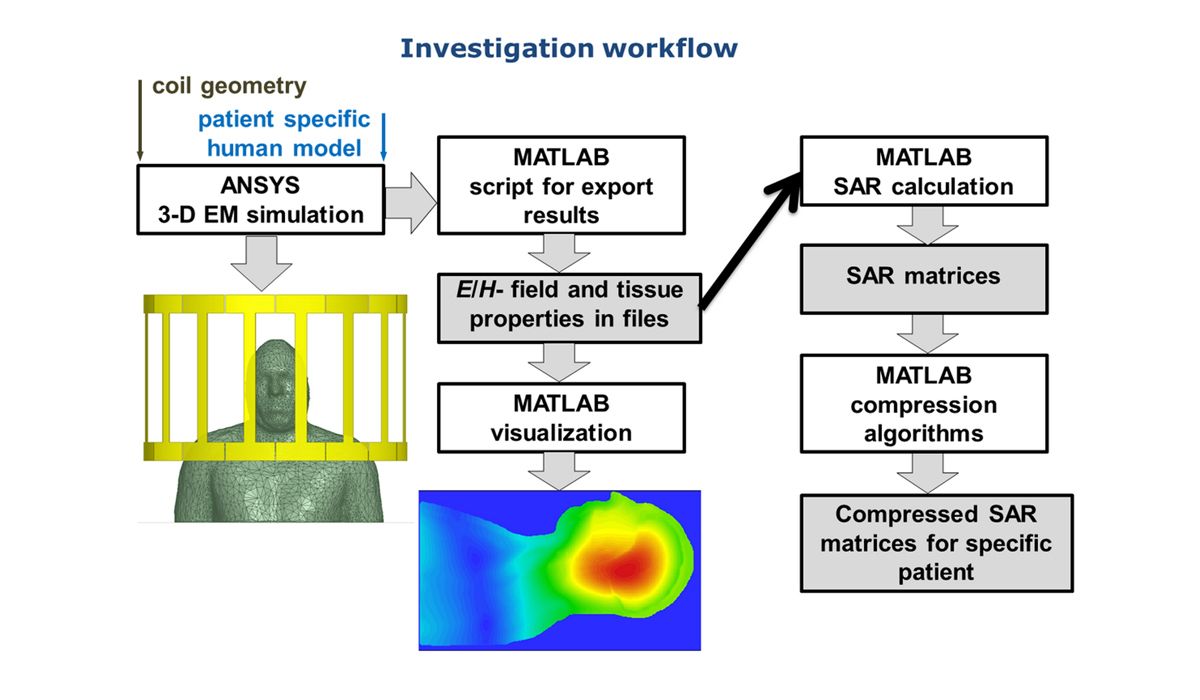 Le workflow pour le calcul du taux d'absorption spécifique à l'aide de modèles humains virtuels avec MATLAB.