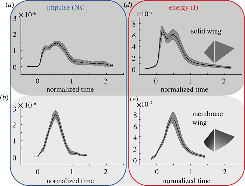 Quatre graphiques qui illustrent différents types d'ailes avec l'impulsion et l'énergie en temps normalisé.