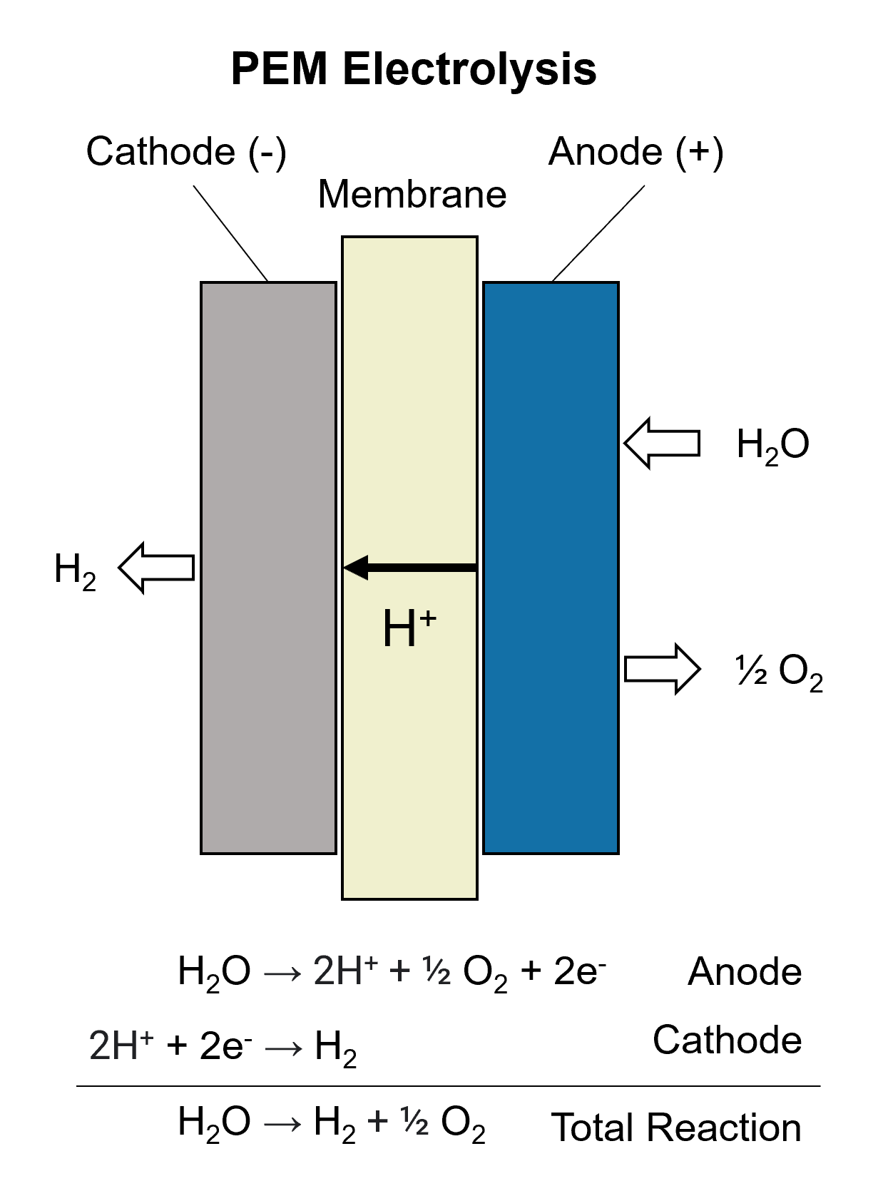 Three connected bars labeled cathode, membrane, and anode. Equations below represent anode, cathode, and total reaction.