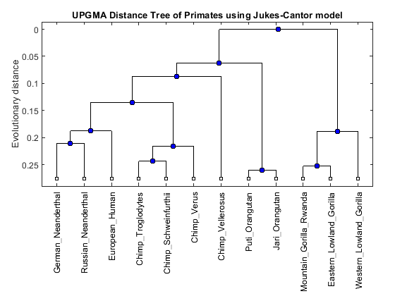 using codoncode aligner for phylogenic tree