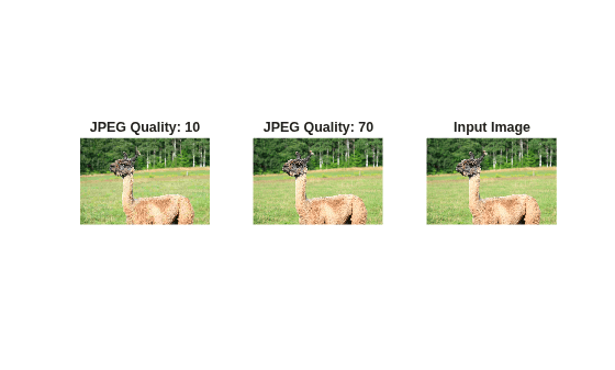 Figure contains 3 axes objects. Hidden axes object 1 with title JPEG Quality: 10 contains an object of type image. Hidden axes object 2 with title JPEG Quality: 70 contains an object of type image. Hidden axes object 3 with title Input Image contains an object of type image.