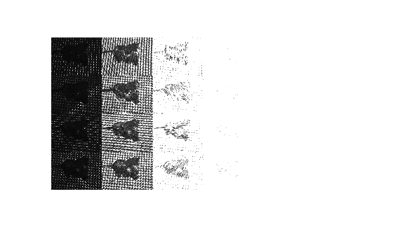 Figure contains an axes object. The hidden axes object contains an object of type image.