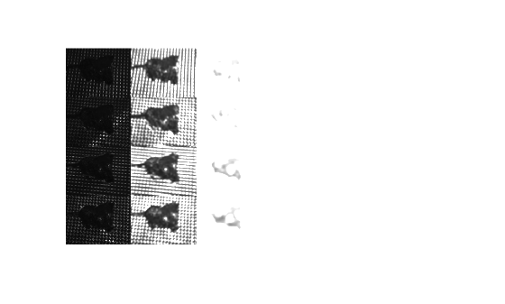 Figure contains an axes object. The hidden axes object contains an object of type image.