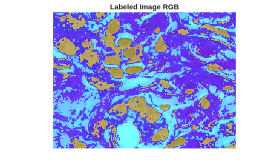 Figure contains an axes object. The hidden axes object with title Labeled Image RGB contains an object of type image.