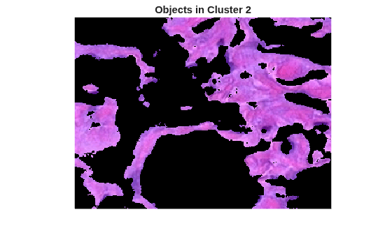 Figure contains an axes object. The hidden axes object with title Objects in Cluster 2 contains an object of type image.