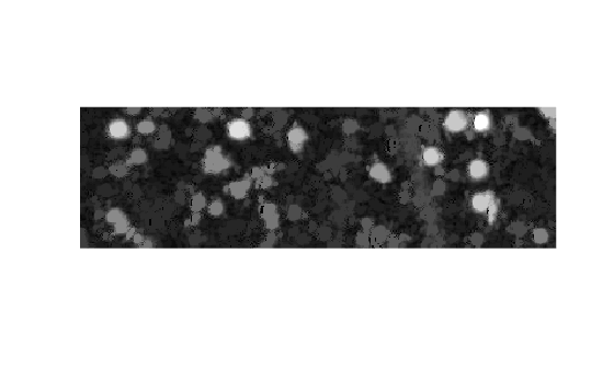 Figure contains an axes object. The hidden axes object contains an object of type image.