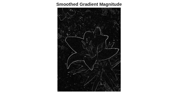 Figure contains an axes object. The hidden axes object with title Smoothed Gradient Magnitude contains an object of type image.