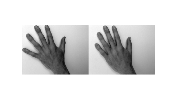 Figure contains an axes object. The hidden axes object contains an object of type image.