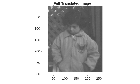 Figure contains an axes object. The axes object with title Full Translated Image contains an object of type image.