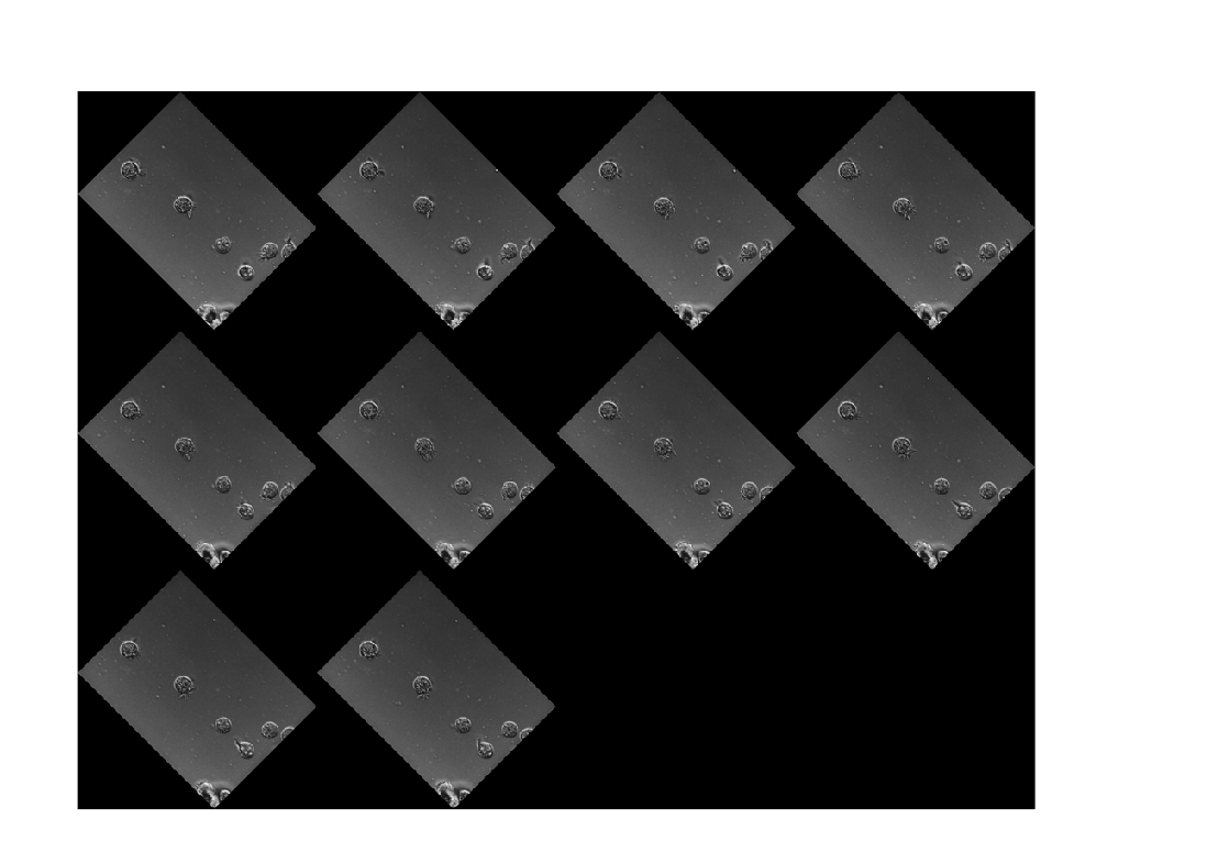 Figure contains an axes object. The hidden axes object contains an object of type image.