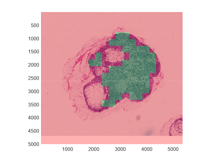 Figure contains an axes object. The axes object contains an object of type bigimageshow.