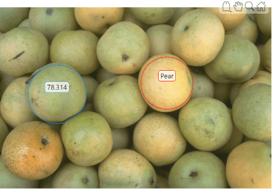 Pears image with a blue circle ROI with a numeric label around one pear, and a red circle ROI with the label "Pear" around another pear