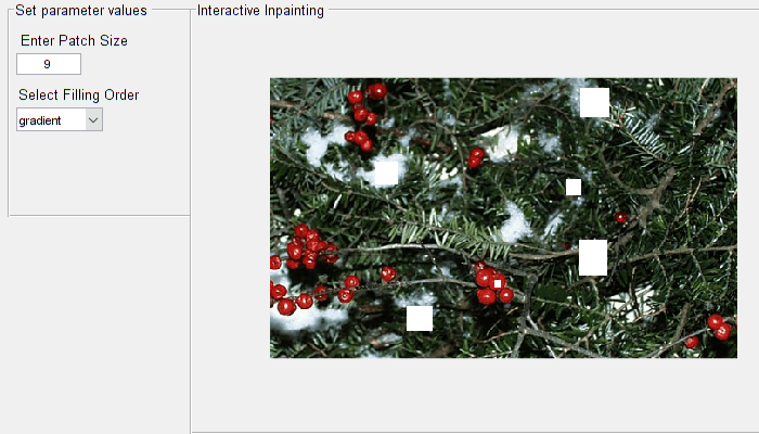 Interactive Image Inpainting Using Exemplar Matching
