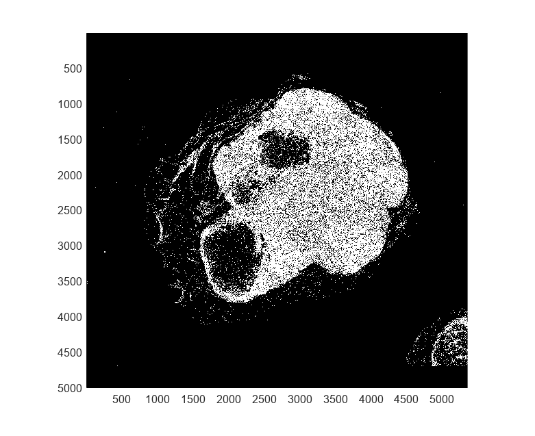 Figure contains an axes object. The axes object contains an object of type bigimageshow.