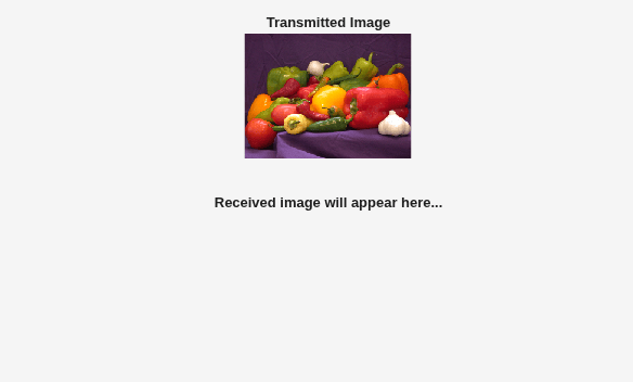 Figure Image Plot contains an axes object. The hidden axes object with title Transmitted Image contains an object of type image.