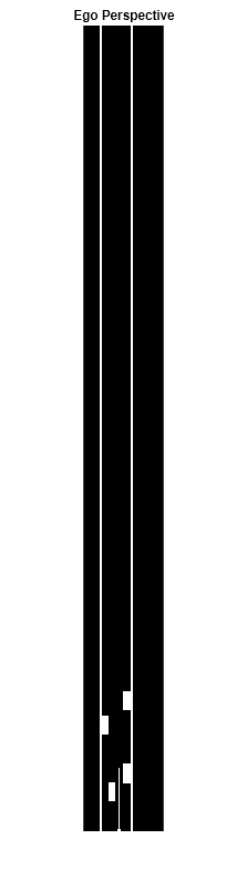 Figure Occupancy Grid contains an axes object. The hidden axes object with title Ego Perspective contains an object of type image.