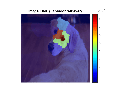 Figure contains an axes object. The axes object with title Image LIME (Labrador retriever) contains 2 objects of type image.