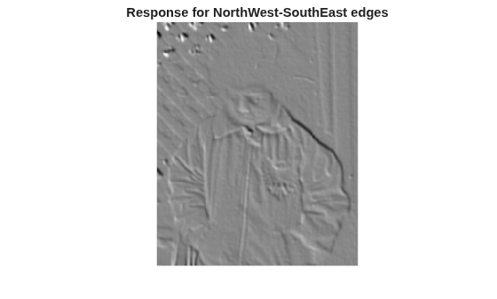 Figure contains an axes object. The hidden axes object with title Response for NorthWest-SouthEast edges contains an object of type image.