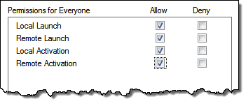 Permissions allowing local and remote launch and activation