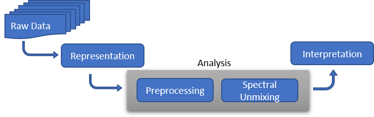 Hyperspectral image processing workflow