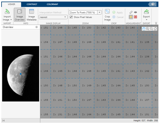 Select Show Pixel Values and zoom in on the image to view the numeric value of each pixel overlaid on the image