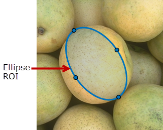 Blue Ellipse ROI drawn over a round object in an image.