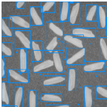 Blue rectangles overlaid on a grayscale image of scattered rice grains