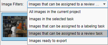 Filter to display only images ready for review.