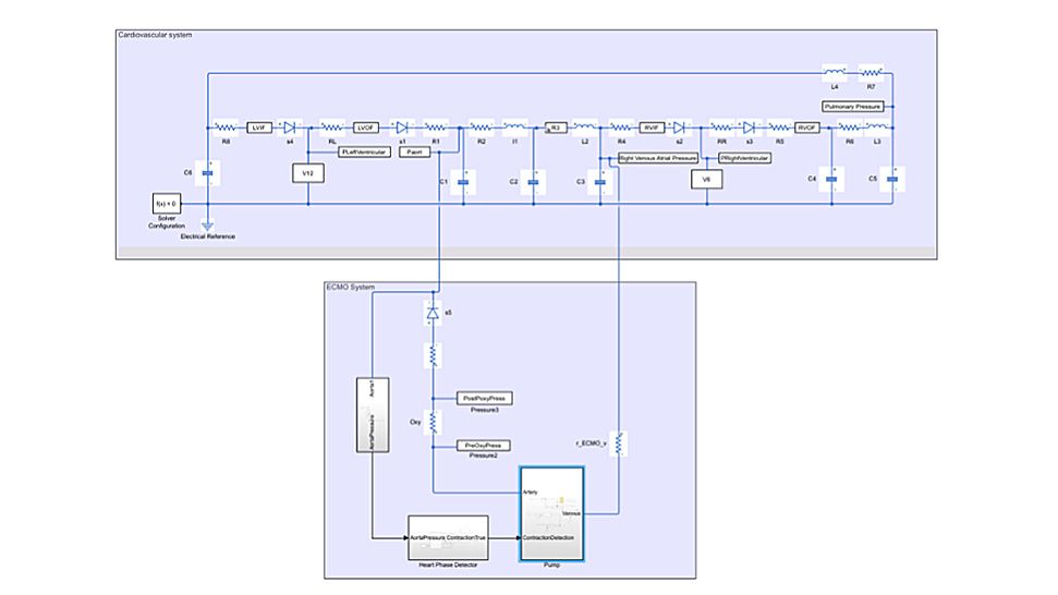 Exemple de modèle de médecine in silico : machine ECMO/cœur-poumon et système cardiovasculaire.