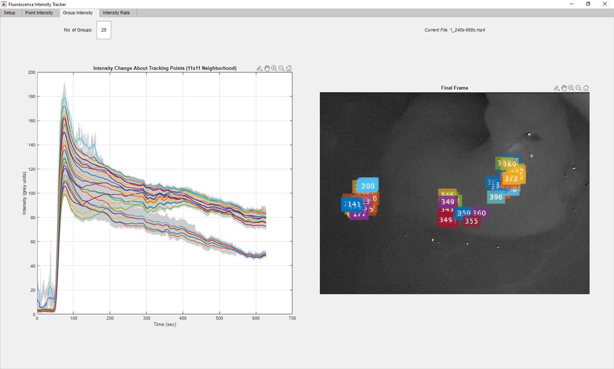 Deux captures d'écran de graphiques affichés par l'application Fluorescence Tracker dans MATLAB.