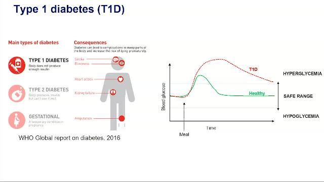 Design a controller for the artificial pancreas for closed-loop insulin therapy in Type-1 diabetes with data-driven methods for robustness to uncertain future meals. Evaluate the technique on virtual patient models using MATLAB.