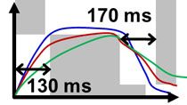 Automatically tune hydraulic valve parameters to match transient response characteristics on manufacturer’s data sheets using optimization algorithms.